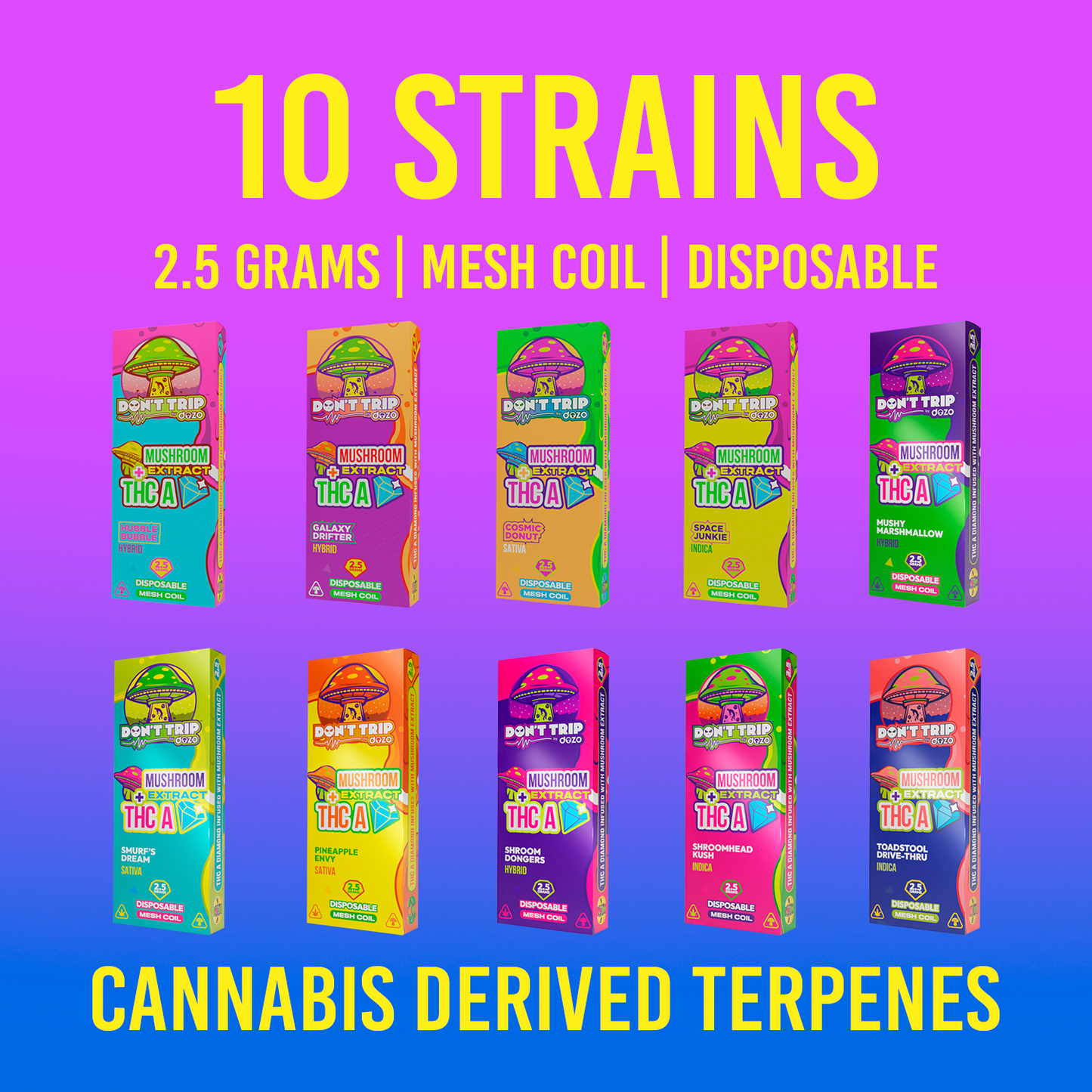 2.5g Don't Trip Mushroom Disposable